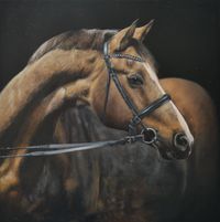 horse 1, oils on mdf-plate, 30x30 cm