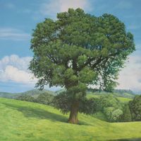 oak tree, oils on mdf-plate, 60x60 cm