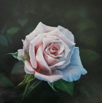 rose, oils on masonite, 40x40 cm